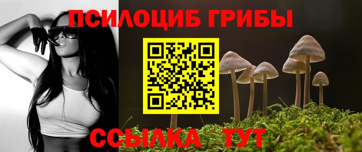 Псилоцибиновые грибы ЛСД  Вход с VPN  Галлюциногенные грибы Psilocybe  Новодвинск 